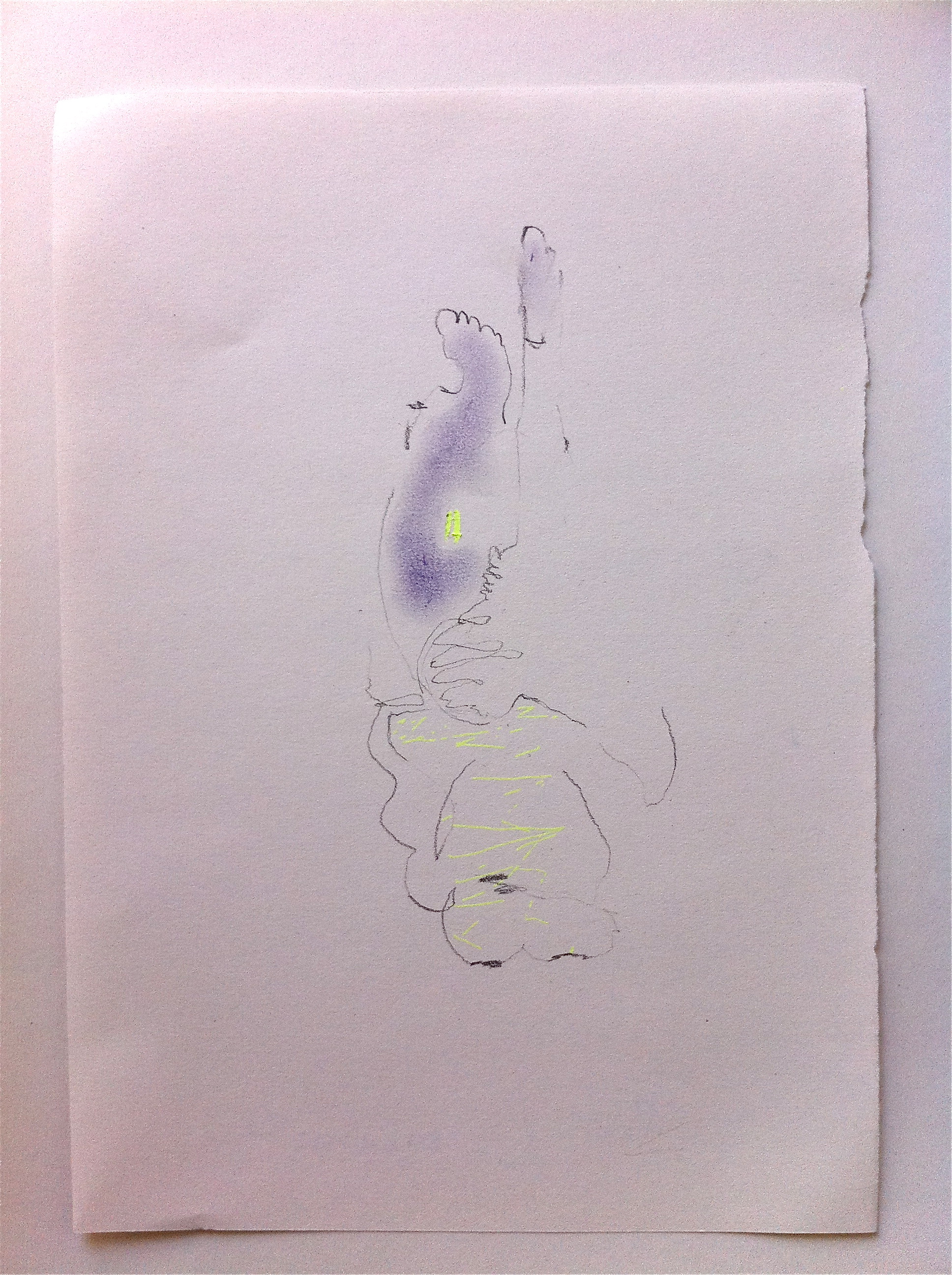 körpertranskriptaufpapier, 2010